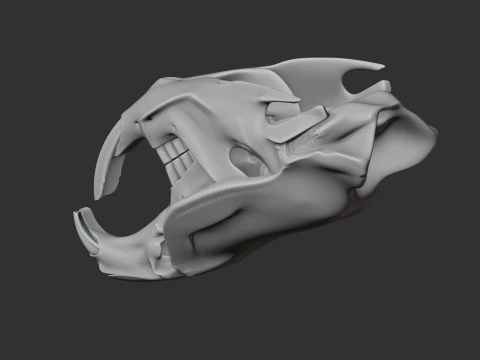 Muskrat Skull 3D Model