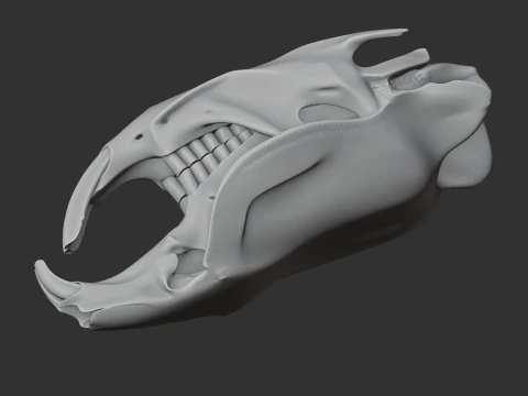 Muskrat Skull 3D Model