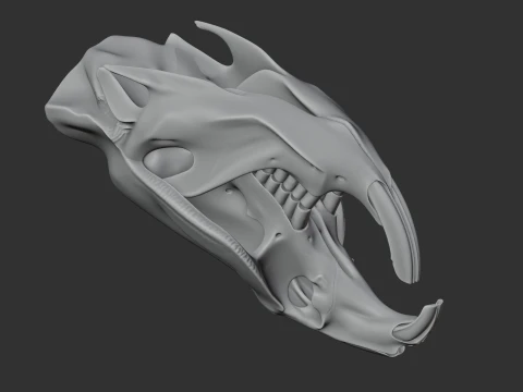 Muskrat Skull 3D Model