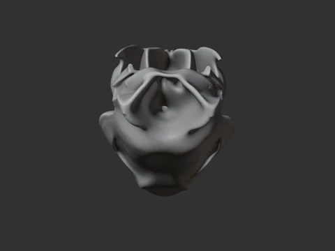 Muskrat Skull 3D Model