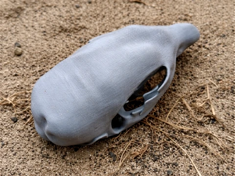 Musky Rat-kangaroo Skull Modèle 3D