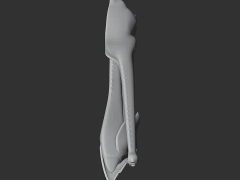 Mystriosaurus Skull 3D Model