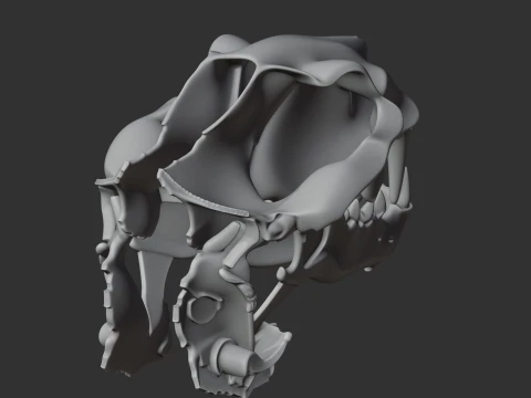Nimravus Skull 3D Model