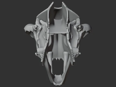 Nimravus Skull 3D Model