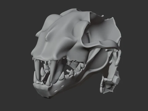 Nimravus Skull 3D Model