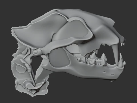 Nimravus Skull 3D Model