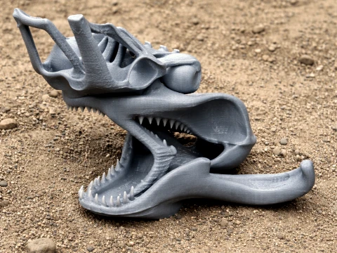 Nyctosaurus Skull Modello 3D