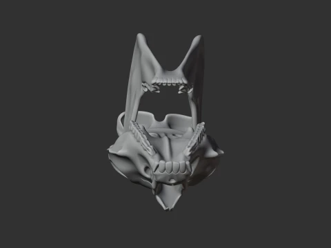 Olingo Skull 3D Model