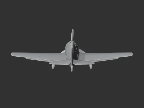 Hellcat Plane 3D Model