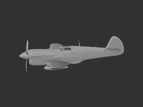 P-40 Warhawk Plane 3D Model