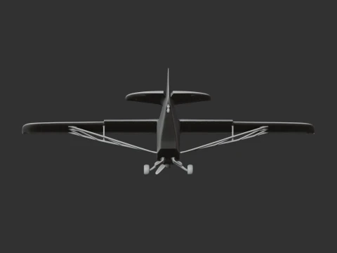 Piper Cub Plane 3D Model