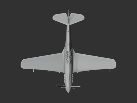 P-40 Warhawk Plane 3D Model