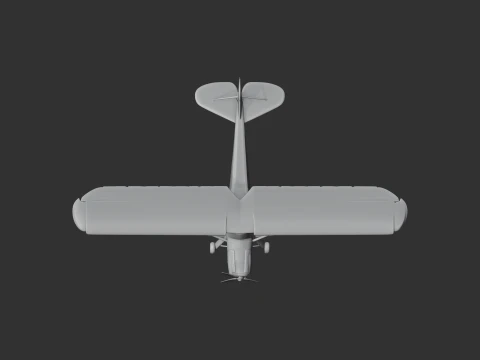 Storch Plane 3D Model