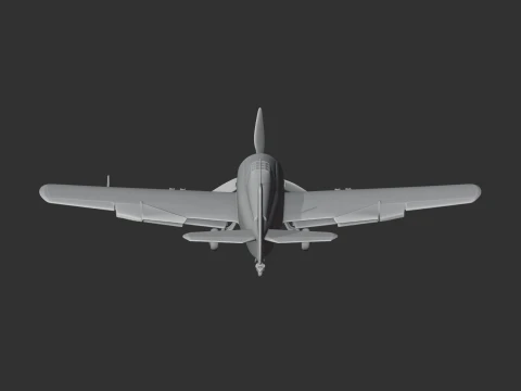 Wildcat Plane 3D Model
