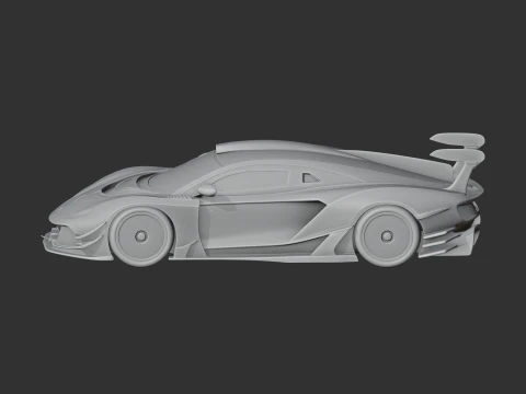 Arrinera Hussarya 3D Model