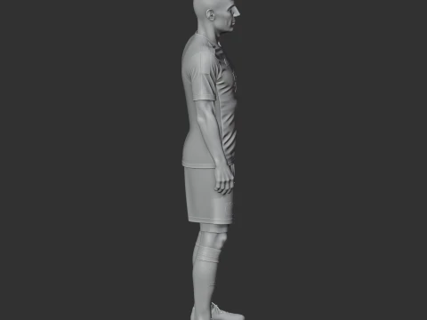 Robben Figurine 3D Model