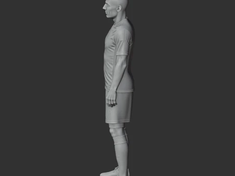 Robben Figurine 3D Model