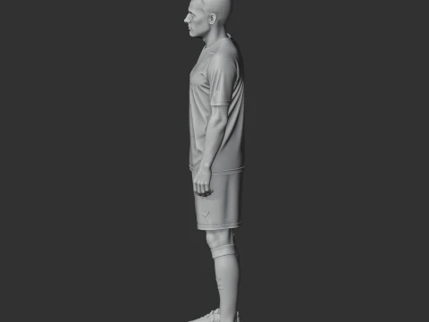 Rafael van der Vaart 3D Model