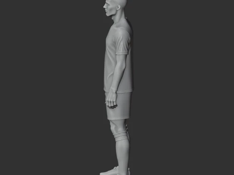 Virgil van Dij Fguine 3D Model