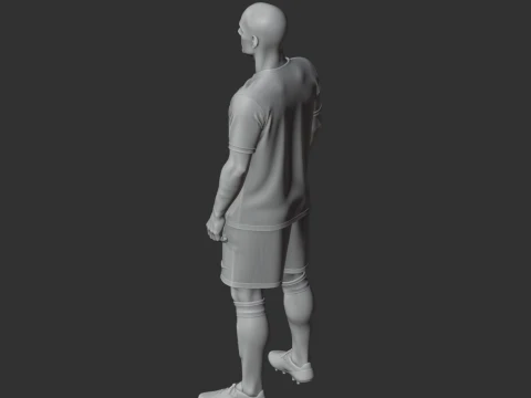 Wsly nijdergui 3D Model
