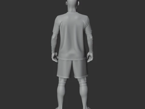 Wsly nijdergui 3D Model