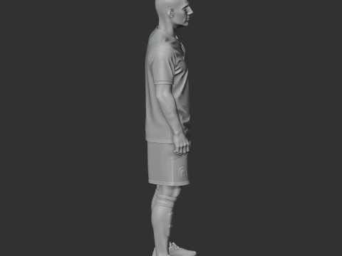 Wsly nijdergui 3D Model