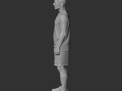 Wsly nijdergui 3D Model