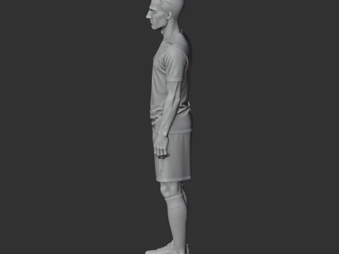 Robin van Persie Figurine 3D Model