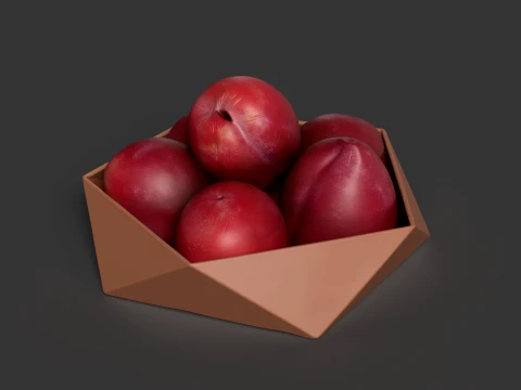 Chinese Plum 3D Model