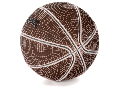 Ball Basketball Wilson 3D Model