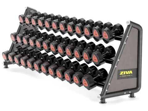 Gym Equipment Storage RackDumbbell Weight Set 025 3D Model
