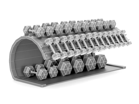 Gym Equipment Storage RackDumbbell Weight Set 029 3D Model