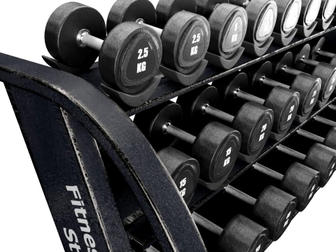 Gym Equipment Storage RackDumbbell Weight Set 034 3D Model