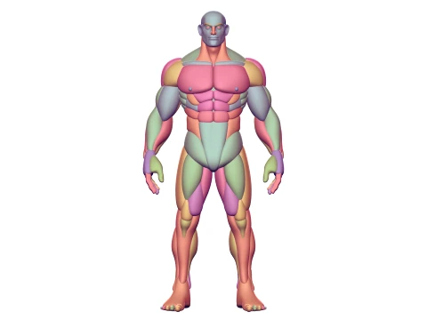 Stylized Man Character Blockout 3D Model