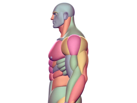 Stylized Man Character Blockout 3D Model
