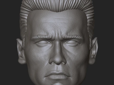 Arnold Schwarzenegger op maat gemaakt actiefiguurhoofd 3D printmodel