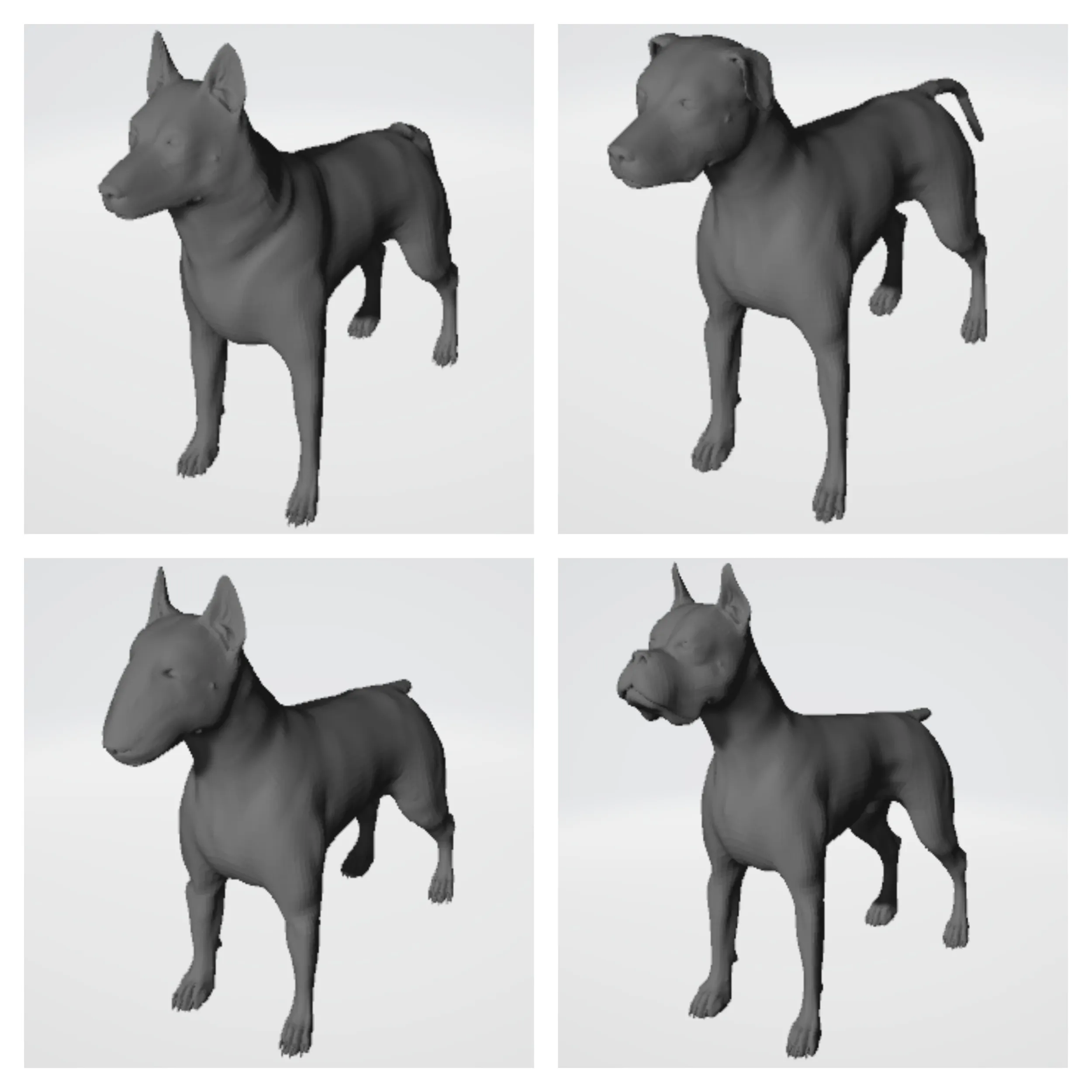 Dogs 4 breeds 3D Print Model .c4d .max .obj .3ds .fbx .stl .blend 