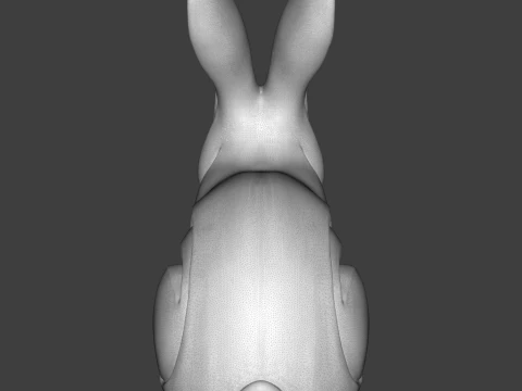 Rabbit 3D Print Model 3D Print Model