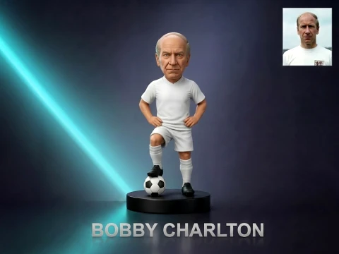Bobby Charlton Footballer Figurine Modello di stampa 3D