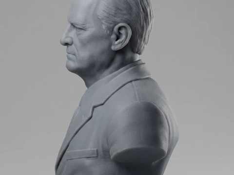Chester W Nimitz 3D Printable Bust 3D Print Model
