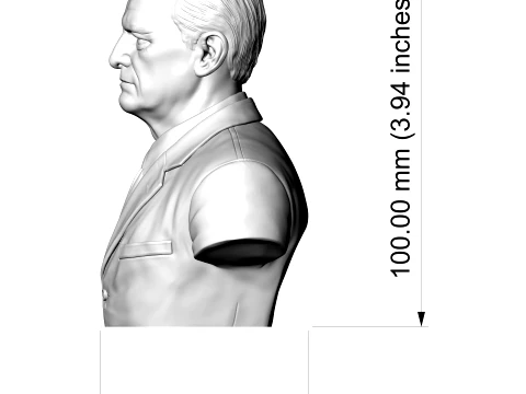 Chester W Nimitz 3D Printable Bust 3D Print Model