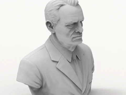 Chester W Nimitz 3D Printable Bust 3D Print Model