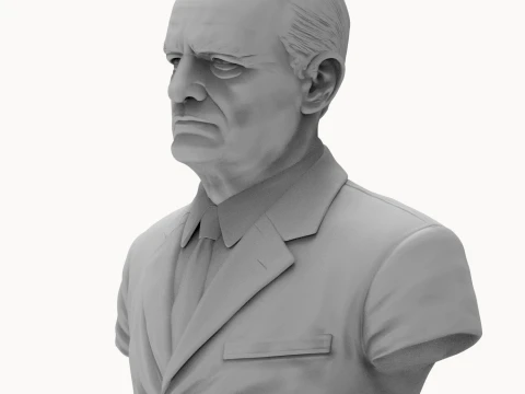 Chester W Nimitz 3D Printable Bust 3D Print Model