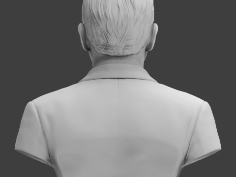 Chester W Nimitz 3D Printable Bust 3D Print Model