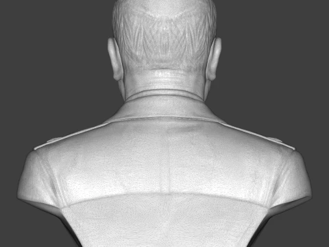 Georgy Zhukov 3D Printable Bust 3D Print Model