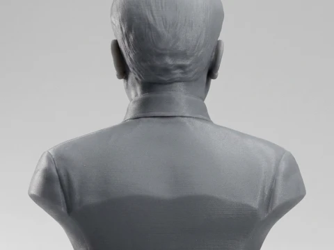Vo Nguyen Giap 3D Printable Bust 3D Print Model