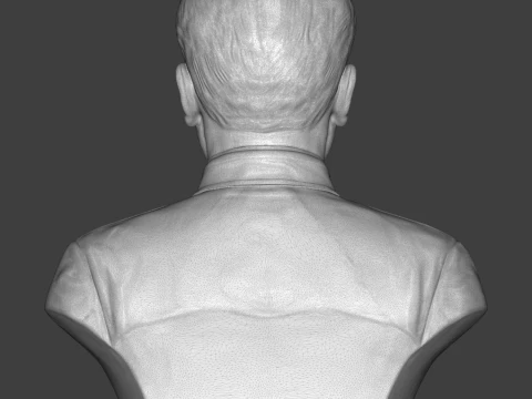 Vo Nguyen Giap 3D Printable Bust 3D Print Model