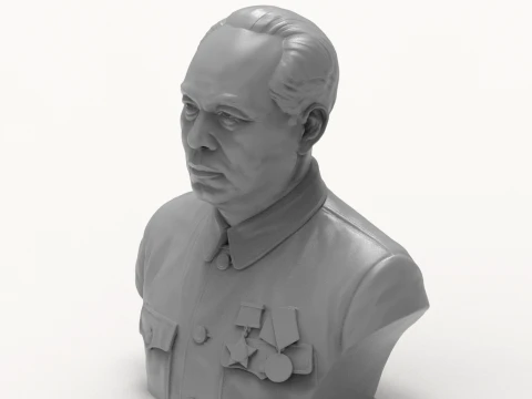 Vo Nguyen Giap 3D Printable Bust 3D Print Model