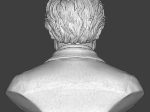 Richard Wagner 3D Printable Bust 3D Print Model
