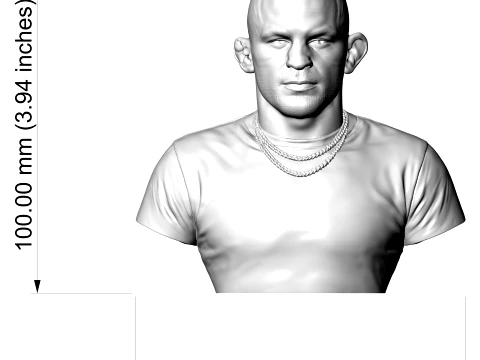 Dustin Poirier 3D Printable Bust 3D Print Model